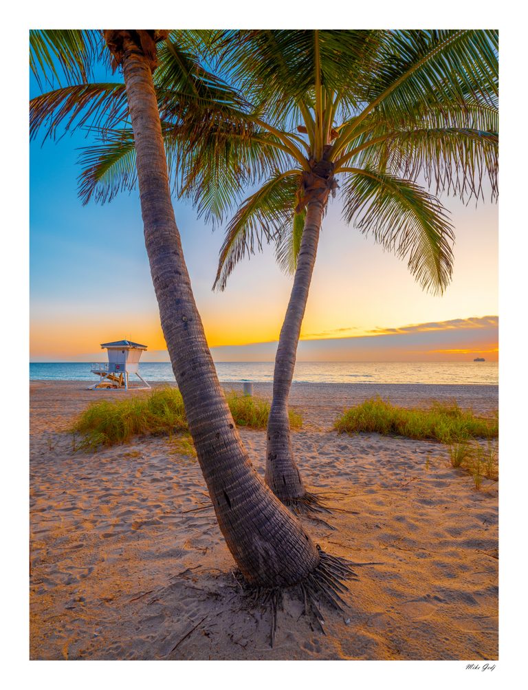 Two leaning palms frame a sandy beach, white lifeguard tower, and calm ocean beneath a blue and golden sky.