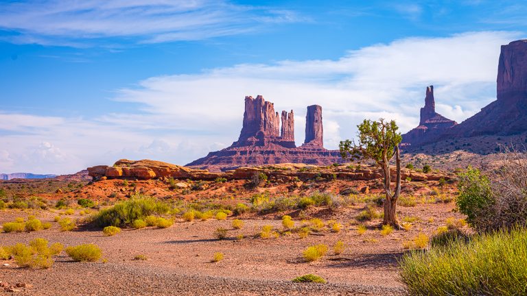 Red rock towers rise beyond a twisted tree and scattered desert shrubs beneath a blue sky streaked with white clouds.