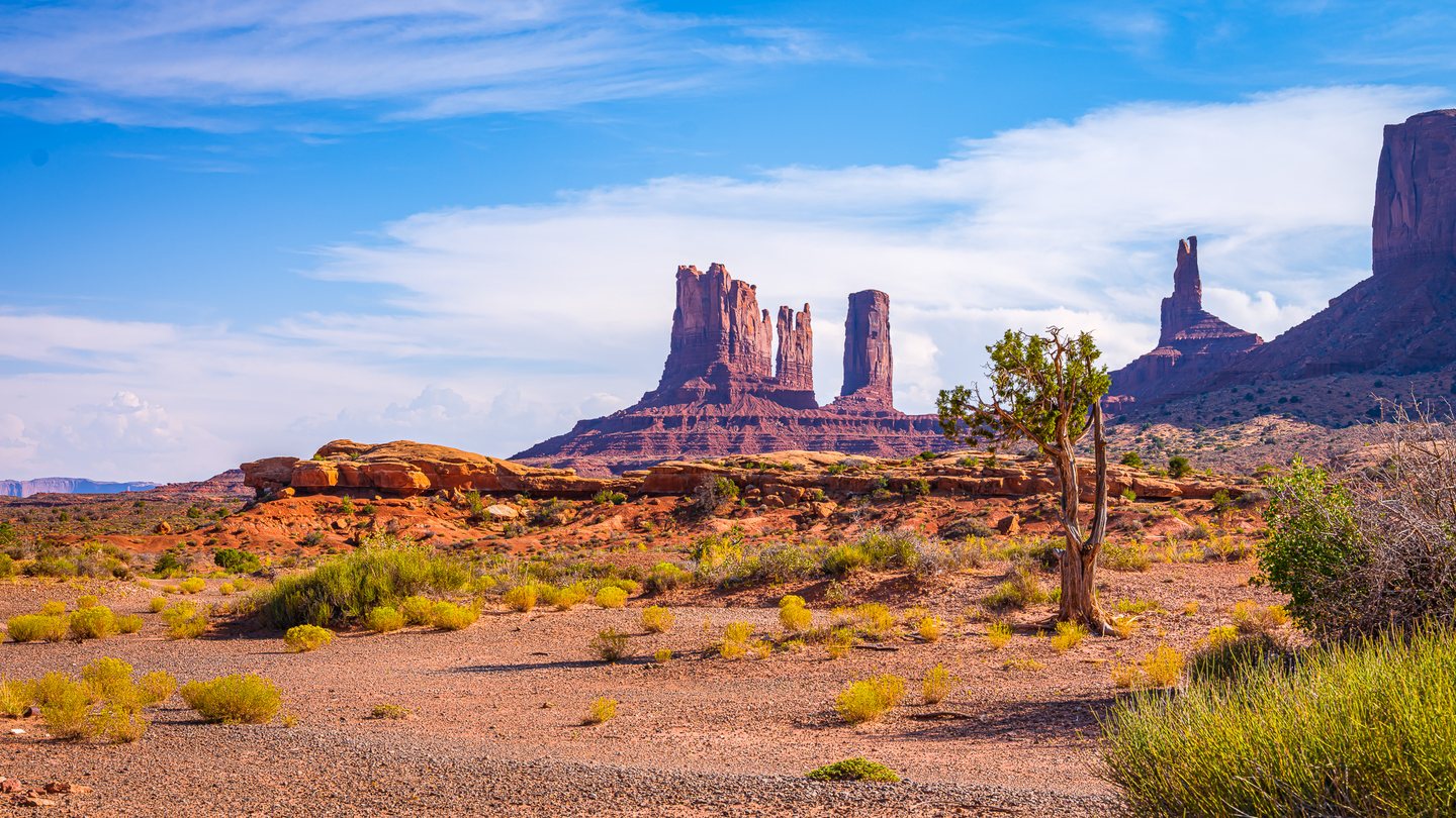 Red rock towers rise beyond a twisted tree and scattered desert shrubs beneath a blue sky streaked with white clouds.