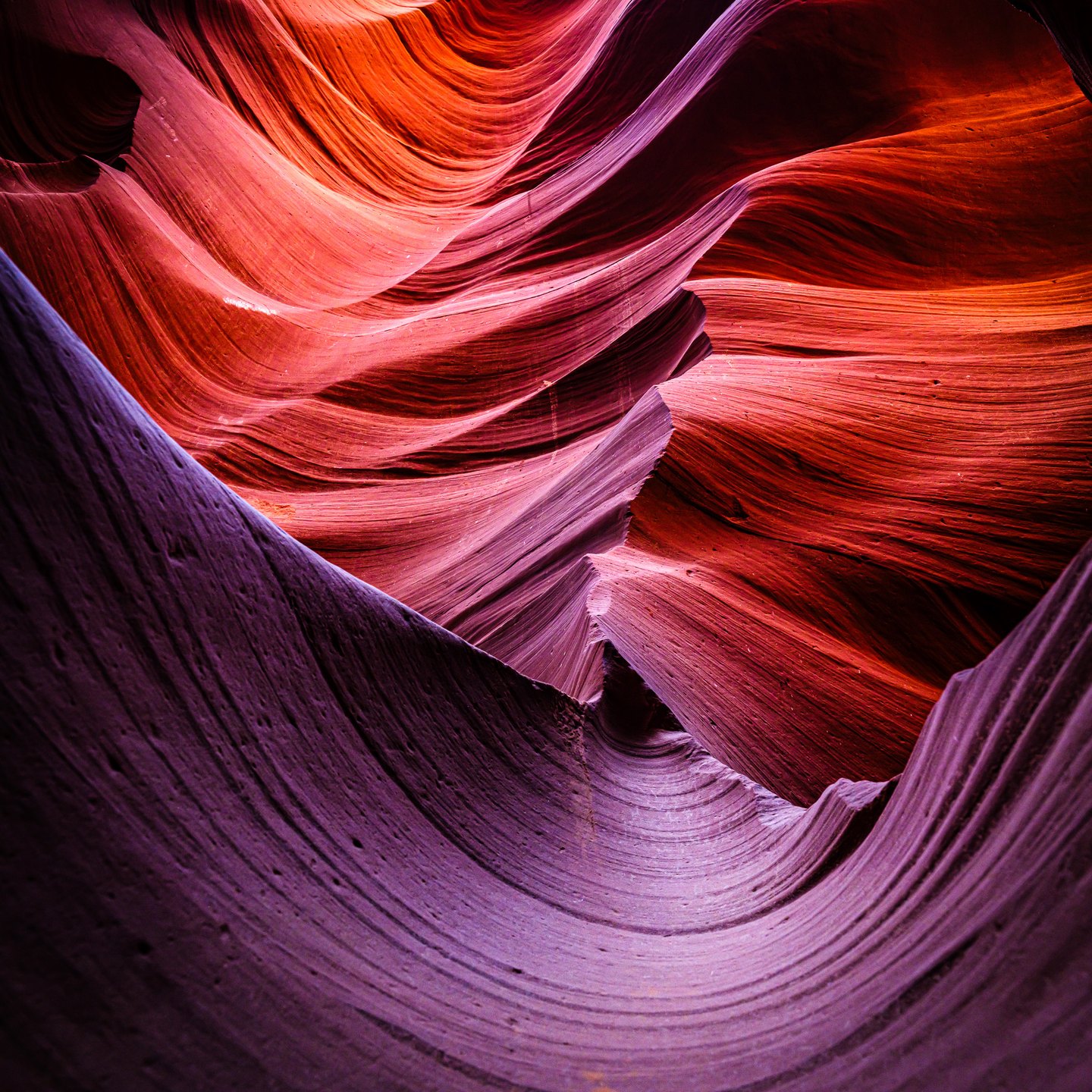 Curving, finely layered canyon walls glow red and orange above sweeping violet shadows.