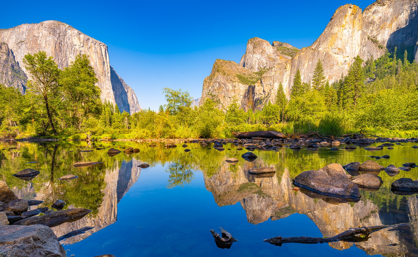 Sunlit cliffs and green trees reflect in a calm river scattered with rocks and fallen branches beneath a blue sky.