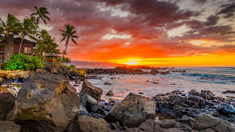 Orange sunset over a rocky shore, with palms and waterfront buildings at left and waves breaking beneath dark clouds.