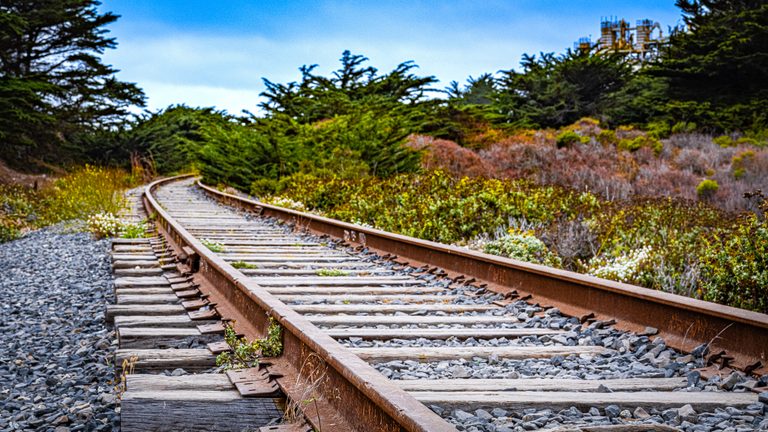 Rust-colored railway tracks curve left through shrubs and evergreen trees beneath a blue sky.