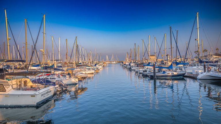 Rows of moored sailboats flank a calm marina channel, their sunlit masts reflected in rippling blue water.