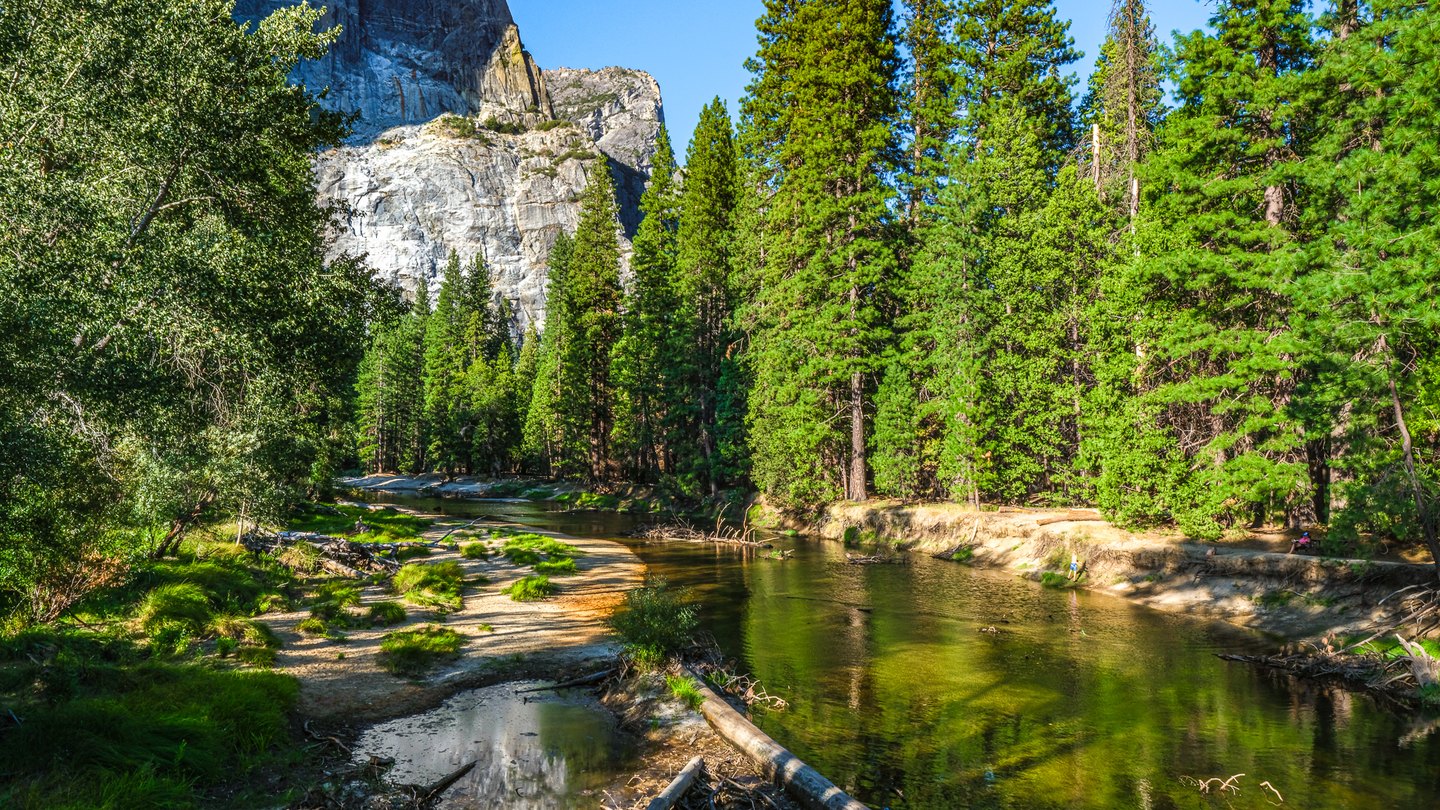 A river curves through tall green trees beneath a pale rock cliff, with fallen logs and small figures along the bank.