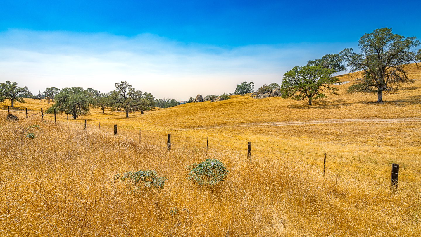 A wire fence crosses golden grassy hills dotted with leafy trees and gray rocks beneath a blue sky.