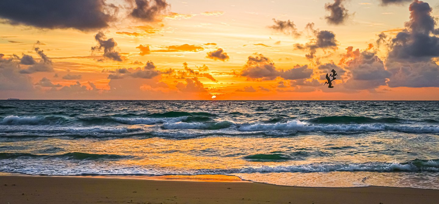 Seabirds fly above breaking waves beneath an orange, cloud-filled sky, with the sun low over the ocean horizon.