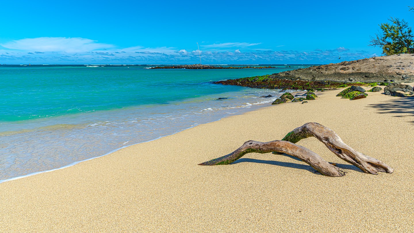 Weathered driftwood lies on golden sand beside turquoise water, algae-covered rocks, and a bright blue sky.