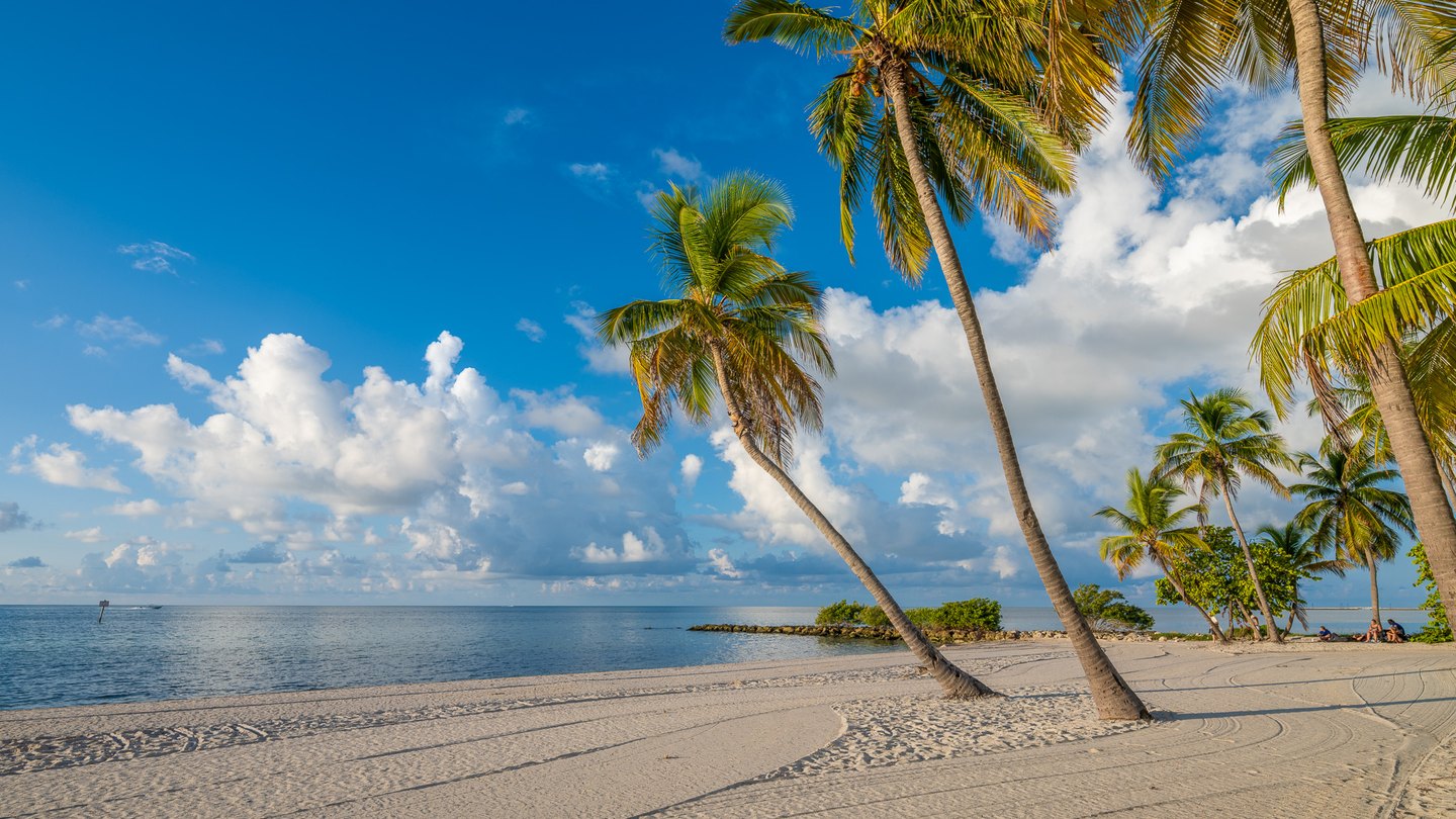 Leaning palms cast long shadows across a sandy beach beside calm blue water under white clouds.