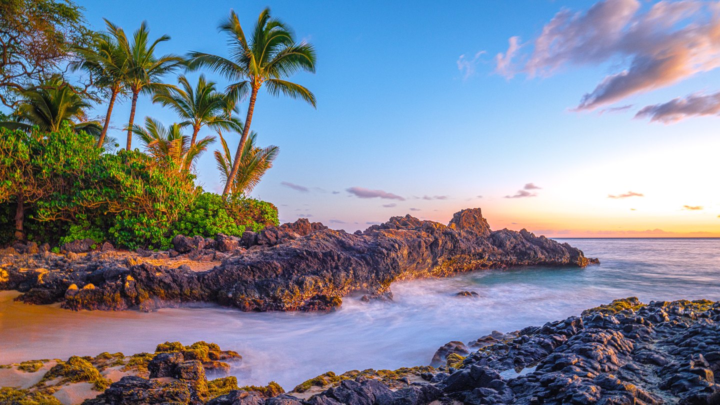 Palm trees rise above a rocky cove, with softly blurred surf beneath a blue sky streaked with pink clouds.