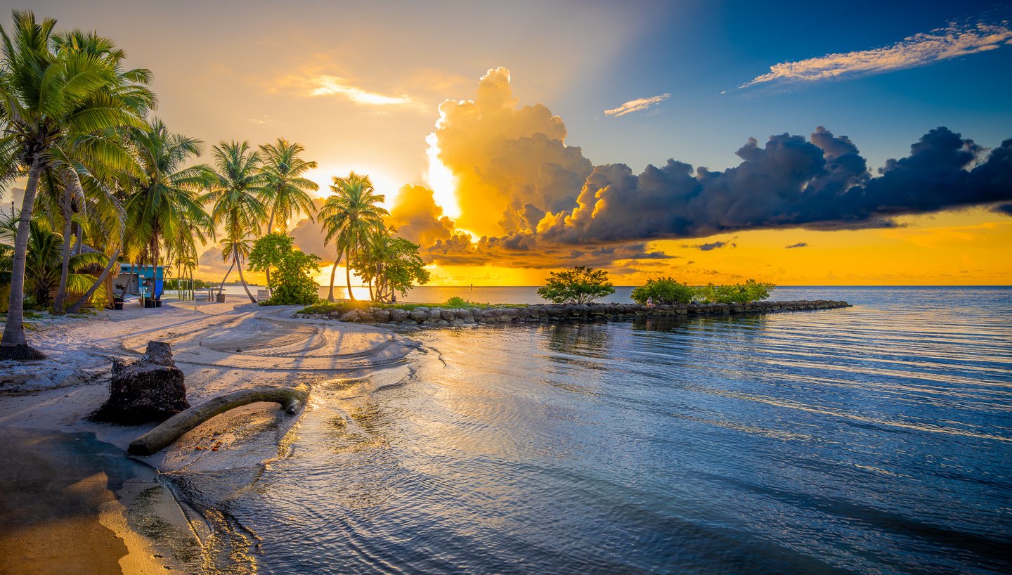 Palms line a curving sandy beach beside calm water, driftwood, and a rocky spit beneath gold-lit clouds.