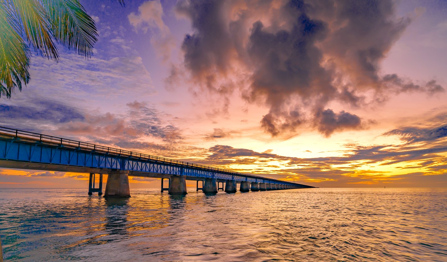A long blue bridge crosses rippling water beneath gold and pink clouds, with palm fronds at the upper left.
