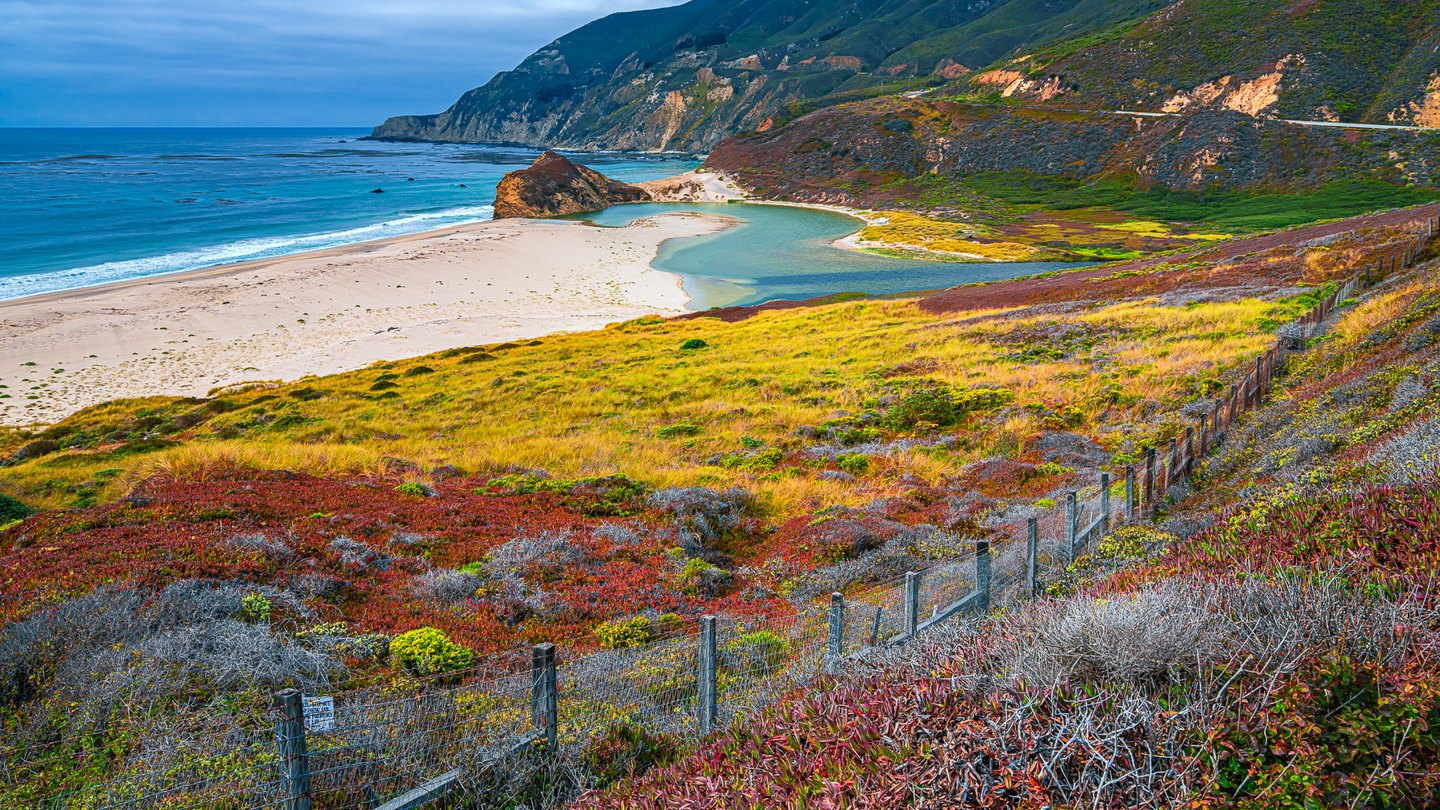A turquoise lagoon curves behind a sandy beach, with ocean cliffs, colorful coastal vegetation, and a foreground fence.