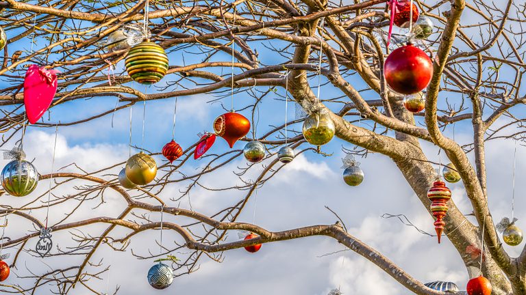 Red, gold, green and silver ornaments hang from mostly bare tree branches against a blue sky with white clouds.