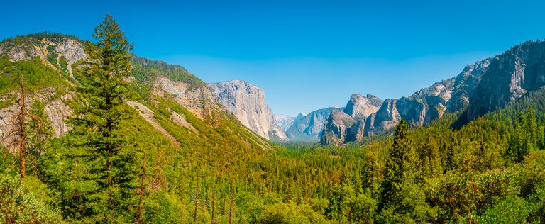 A forested valley stretches between towering granite cliffs beneath a clear blue sky, with tall conifers in front.