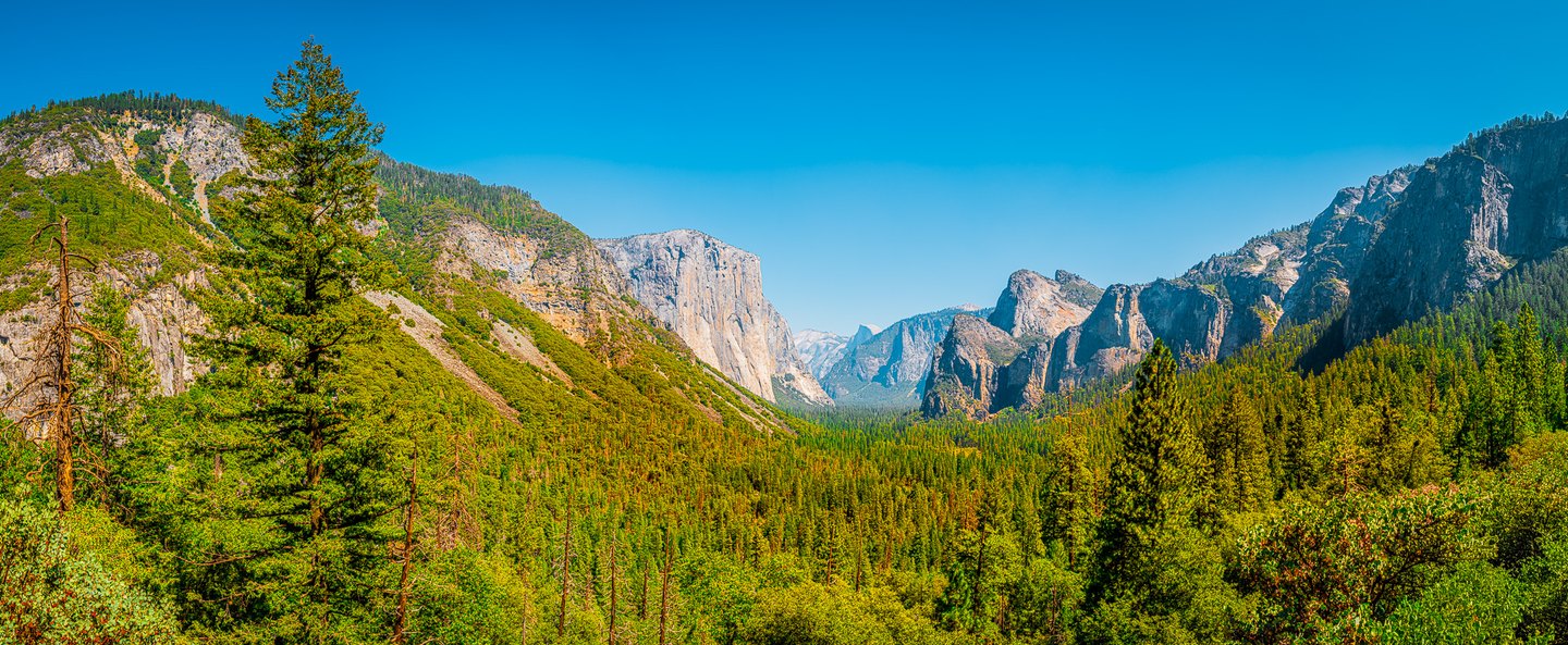 A forested valley stretches between towering granite cliffs beneath a clear blue sky, with tall conifers in front.